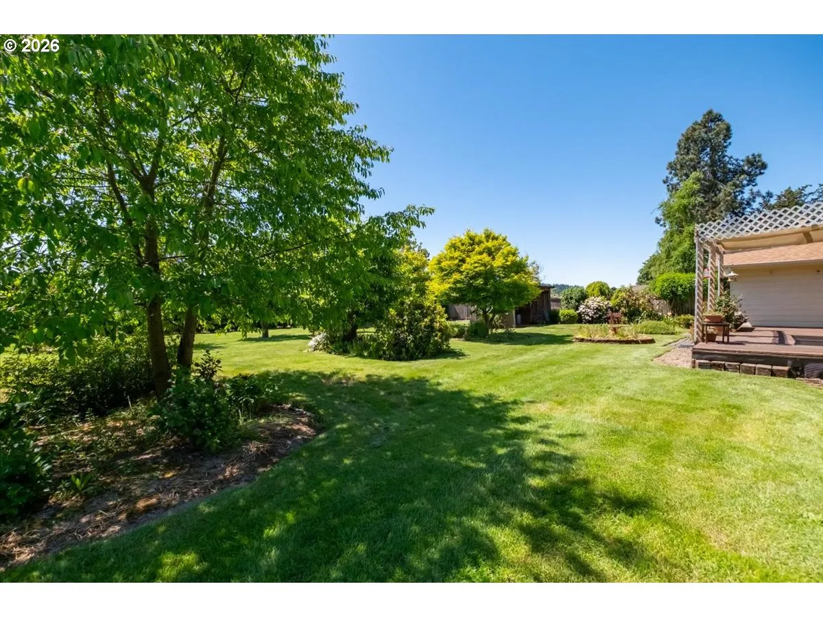 Backyard-View From