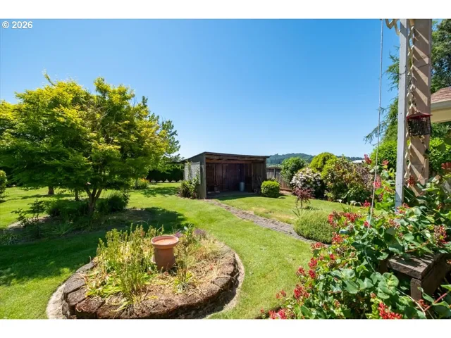 Backyard-View From