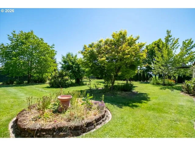 Backyard-View From