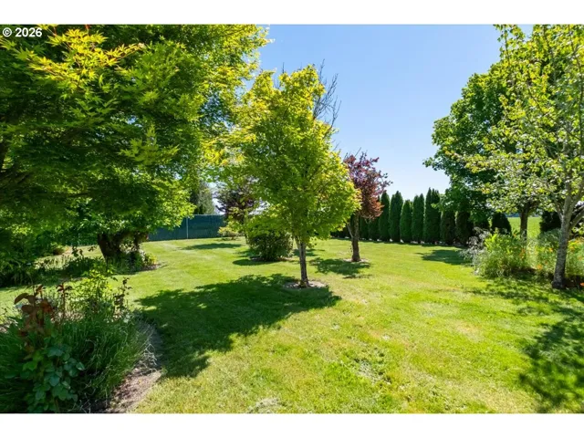 Backyard-View From
