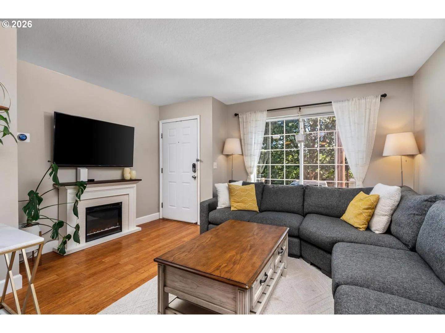 Living Room/Entrance