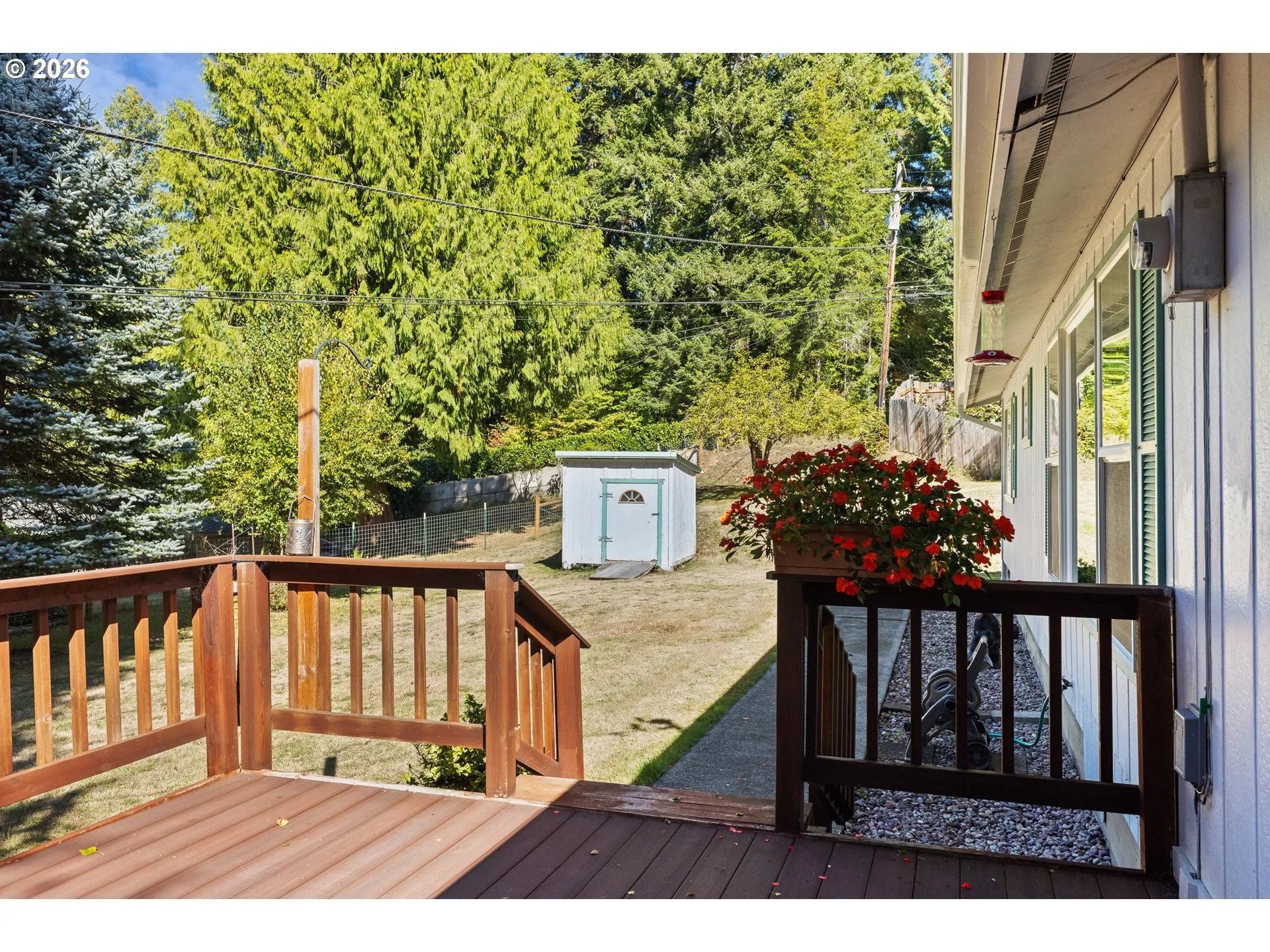 Backyard