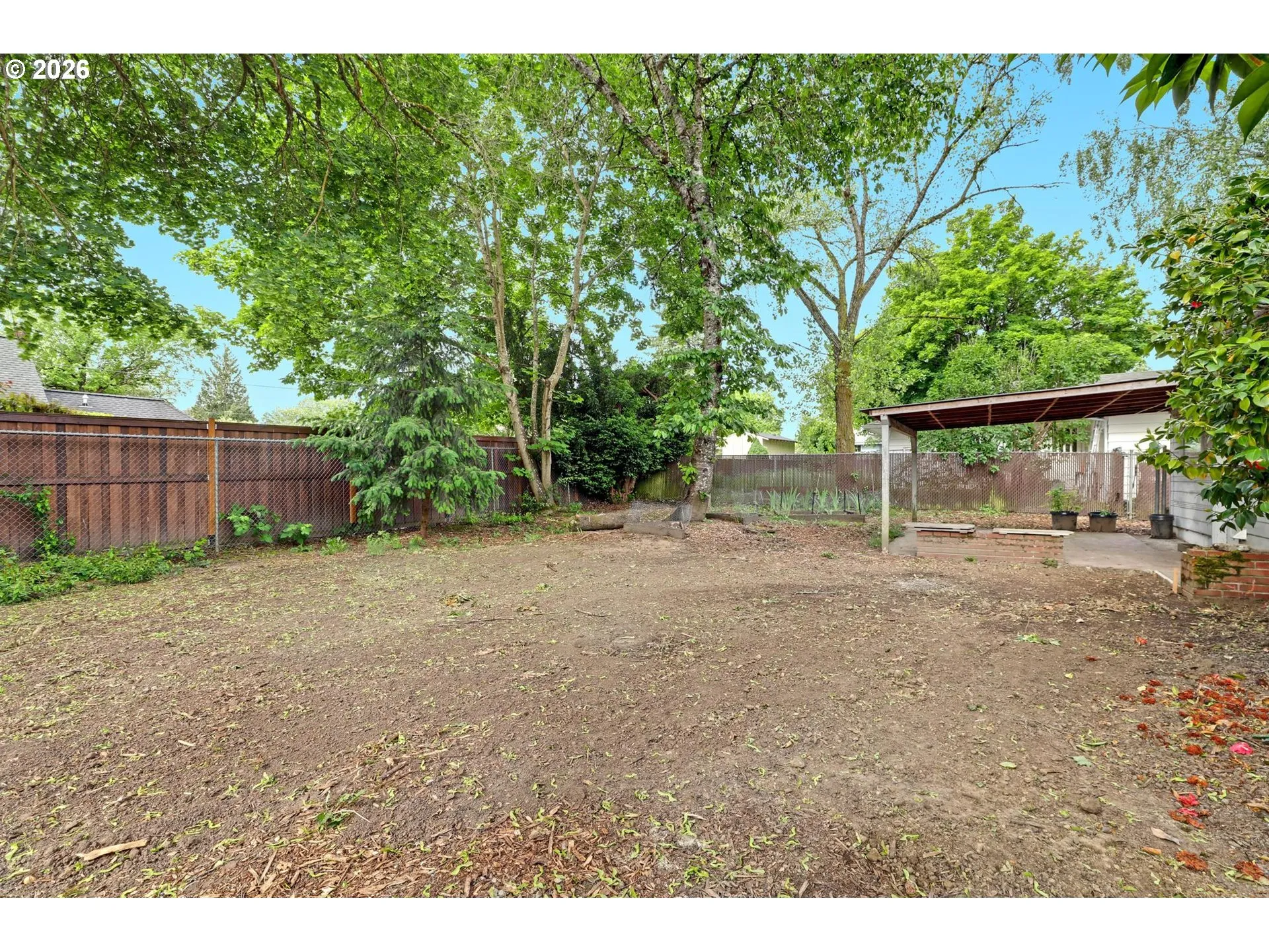 Backyard
