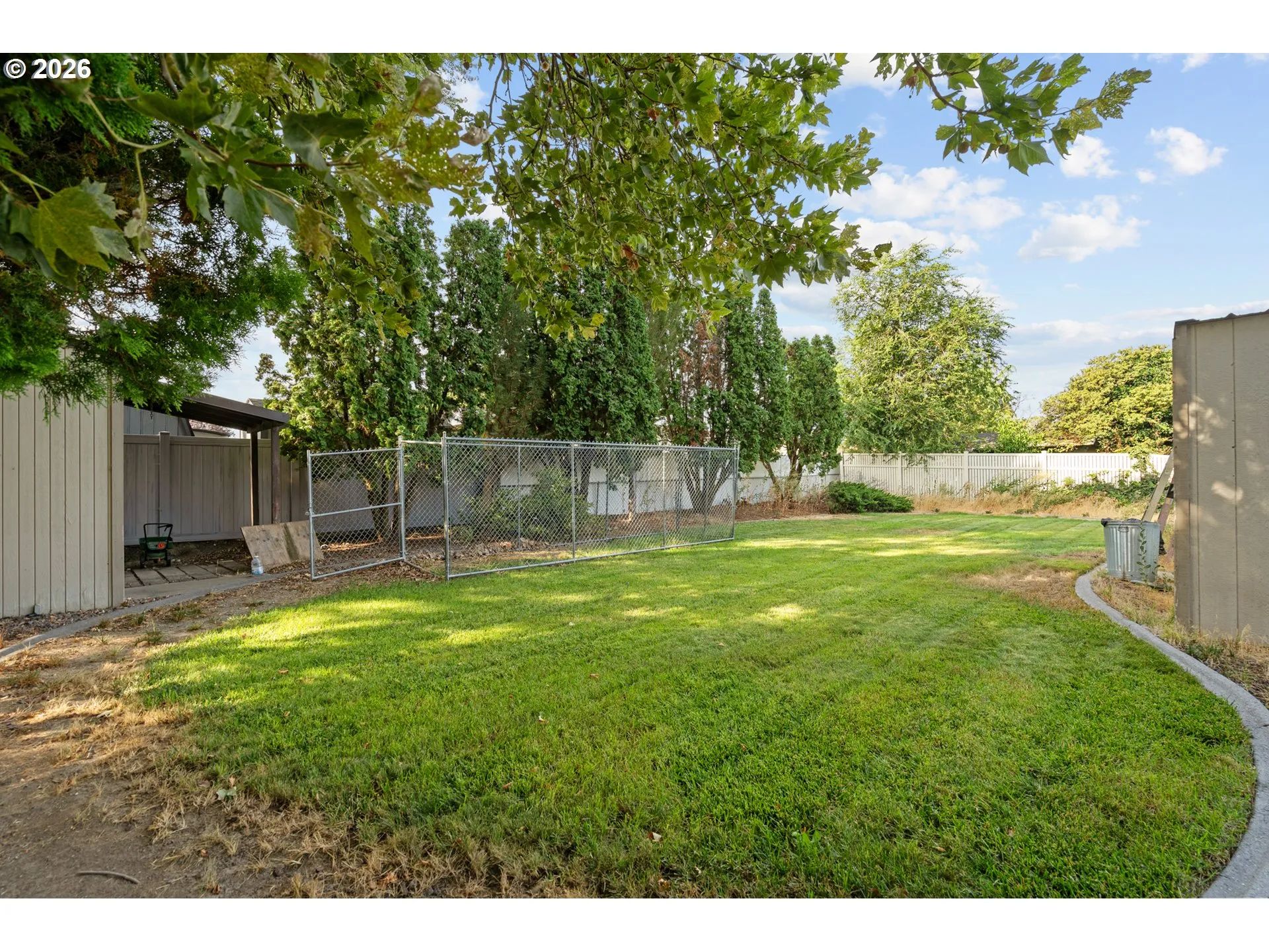 Backyard