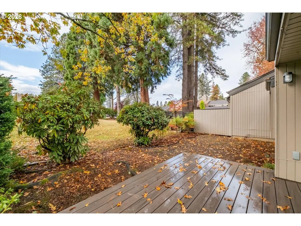 Backyard-# 2