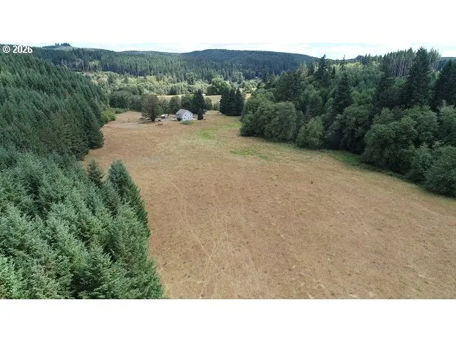 Pasture