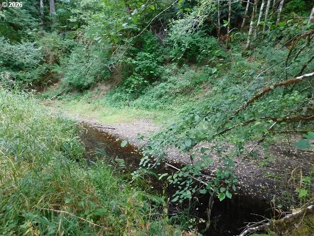 Creek-Year Round