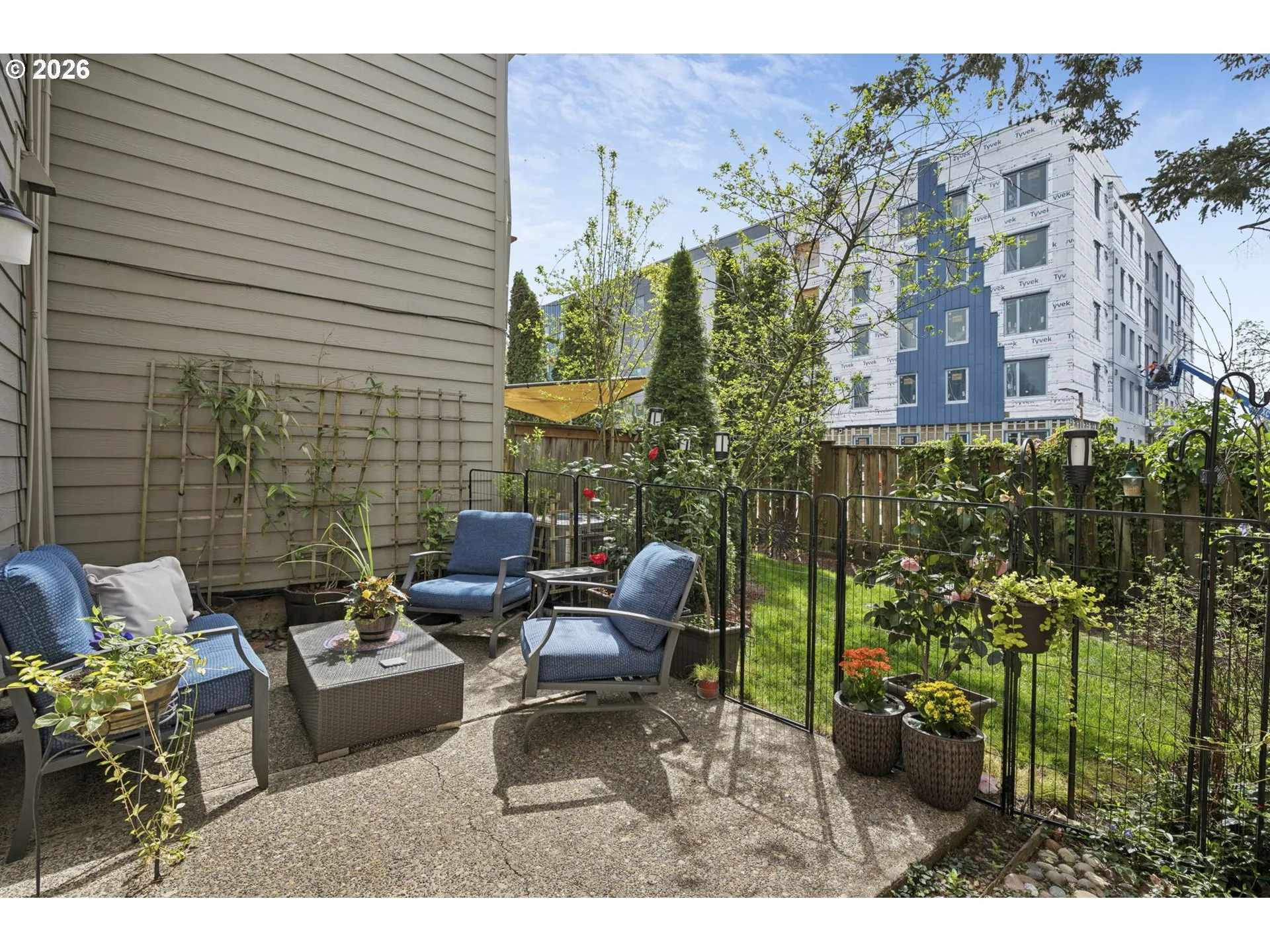Backyard