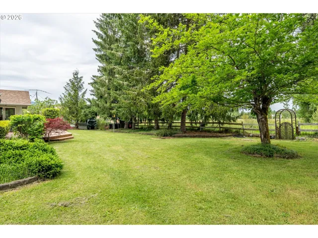 Backyard-Fenced