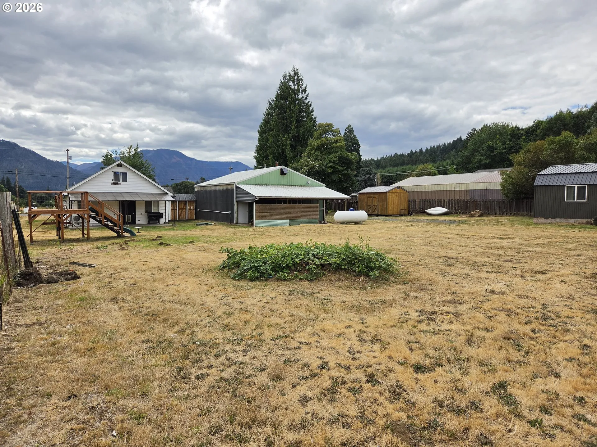 Backyard-View From