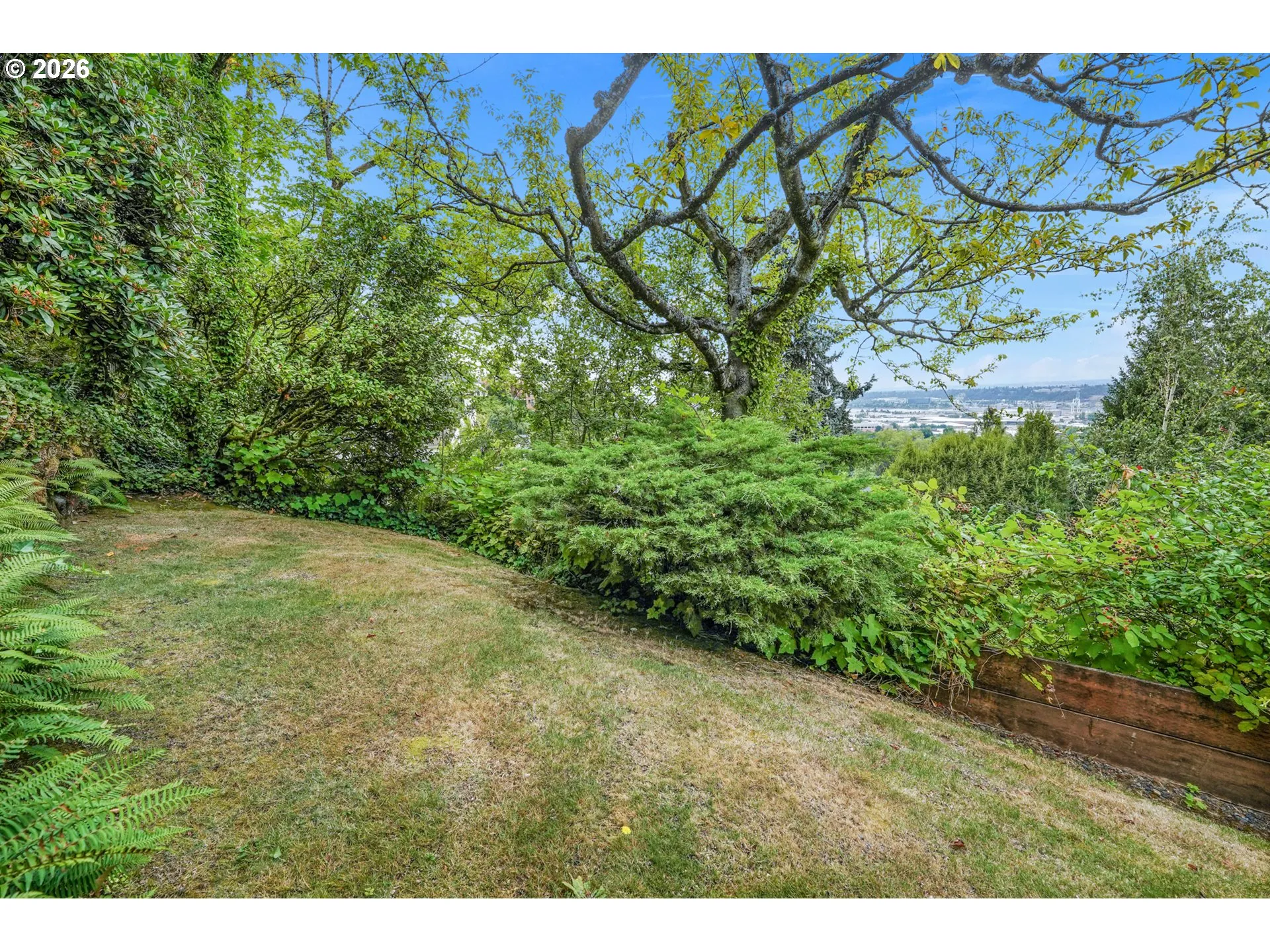 Backyard-View From