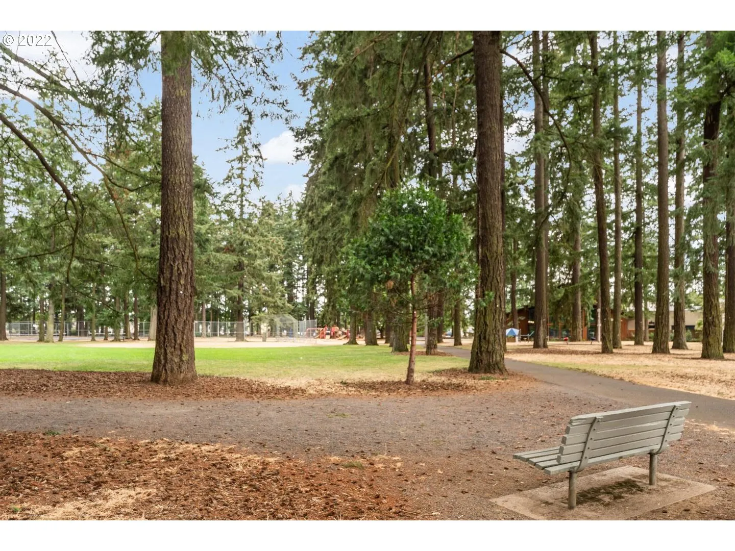 Community Park