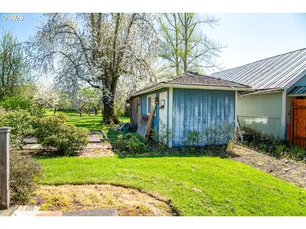 Shed