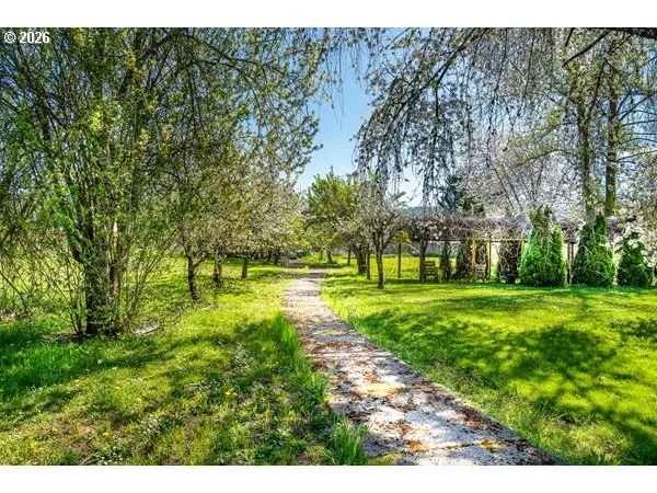 Backyard-# 3