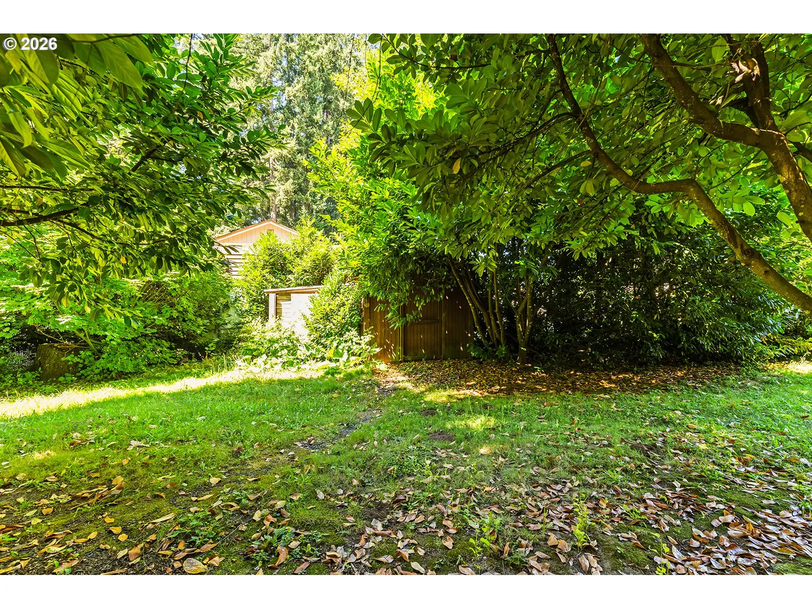 Yard-Back