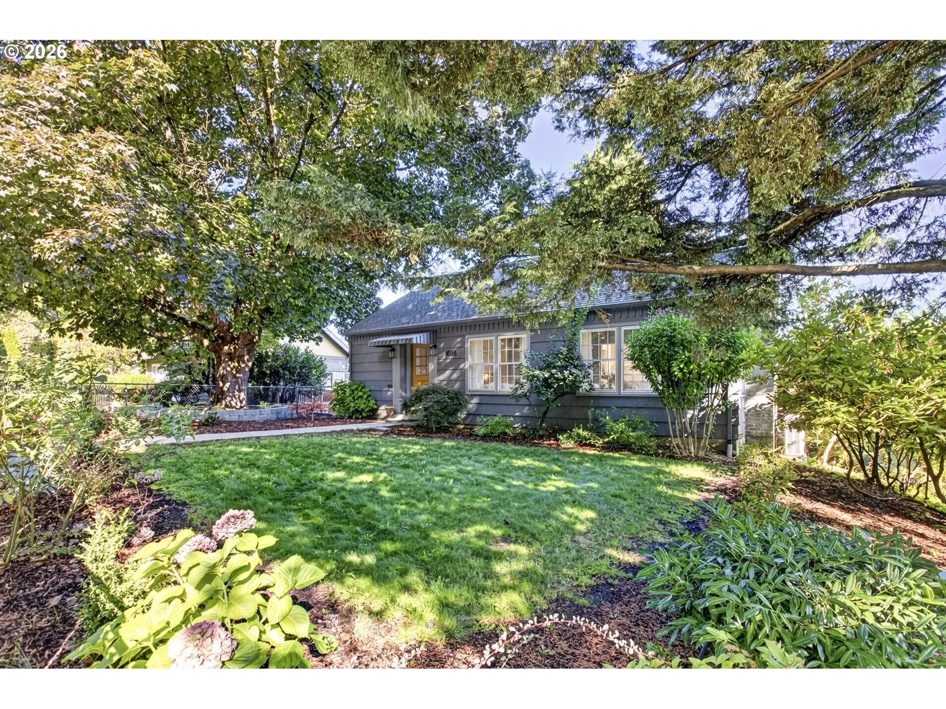Yard-Landscaped
