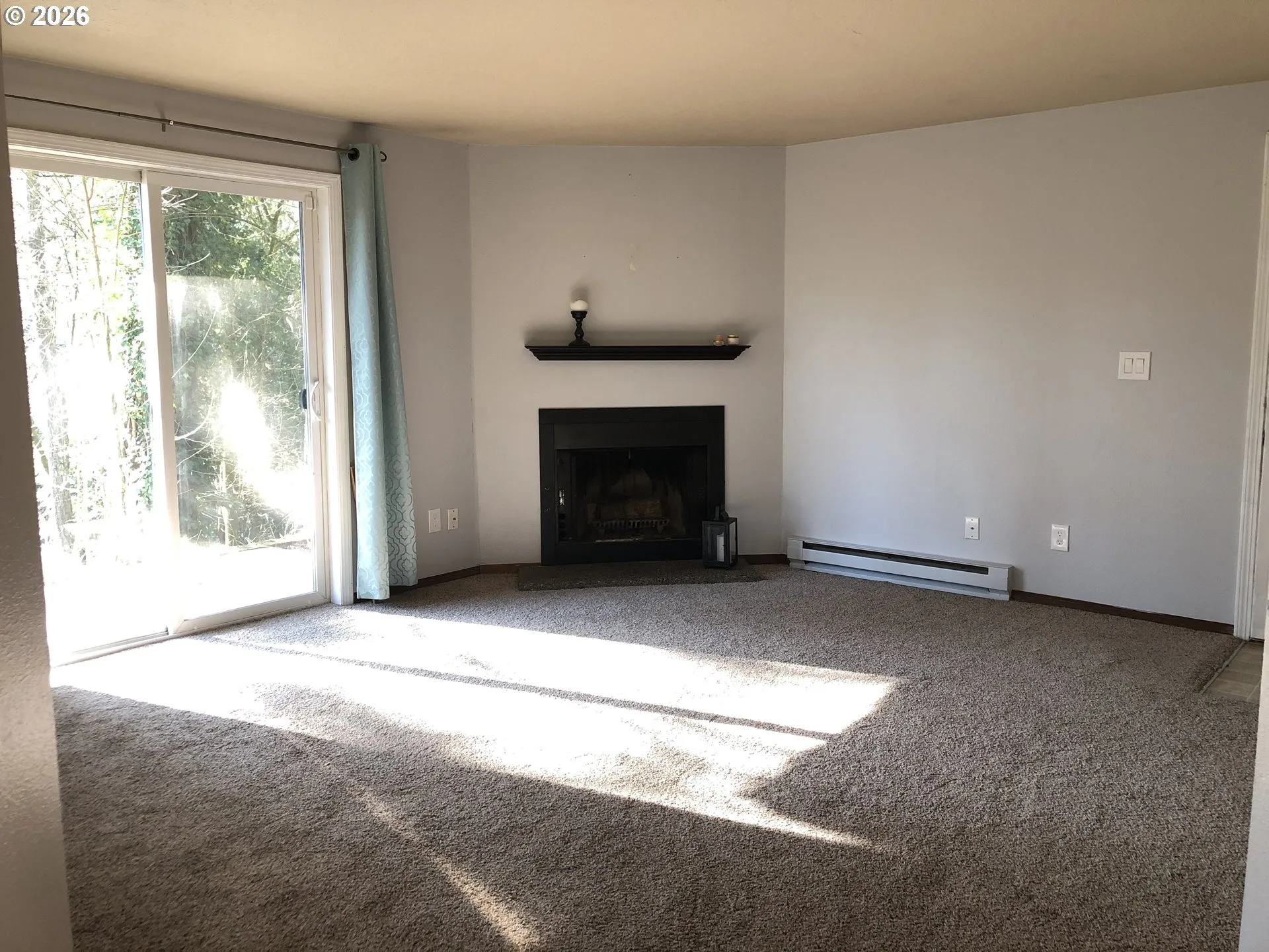 Living Room-Fireplace