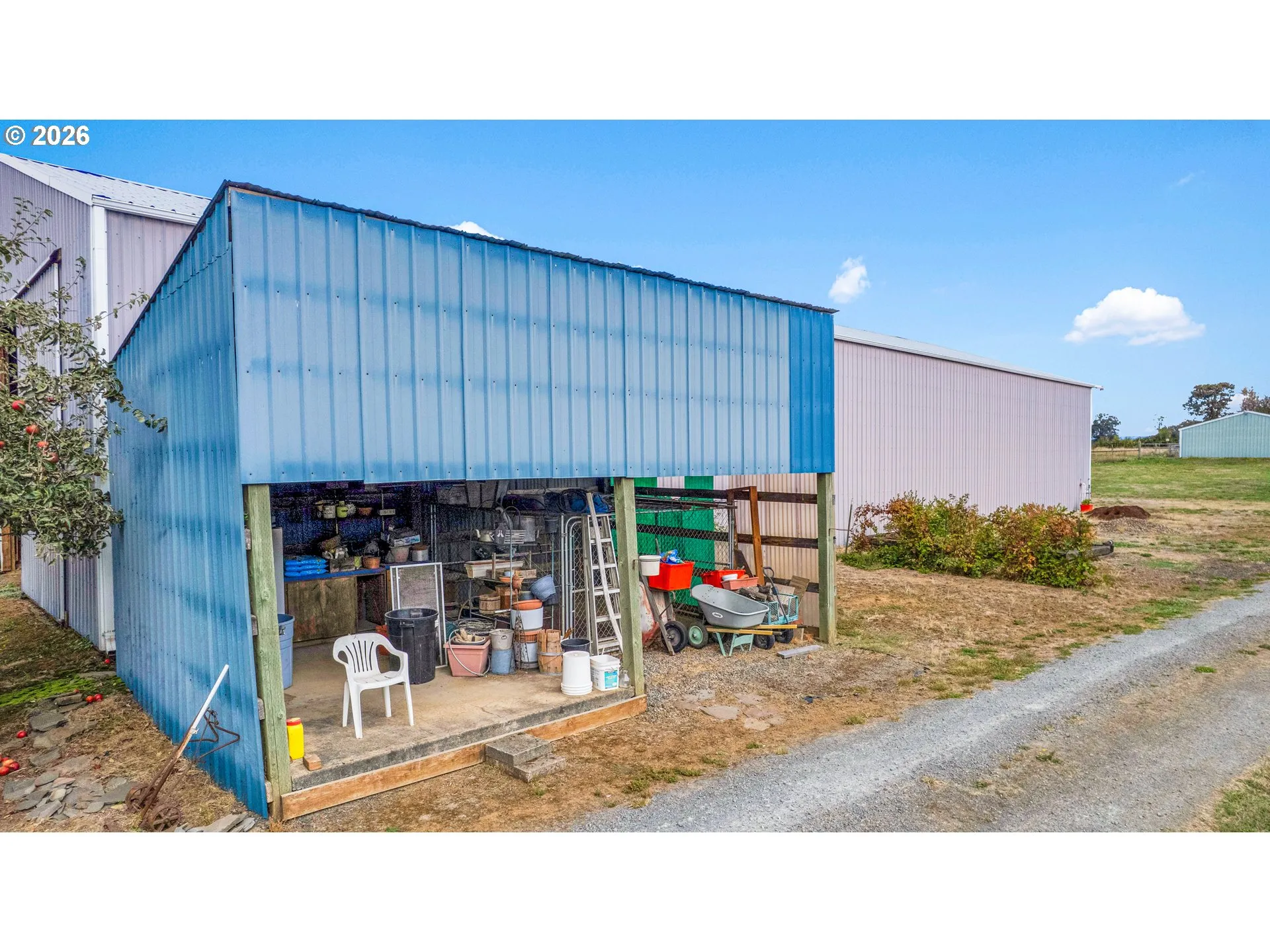 Shed