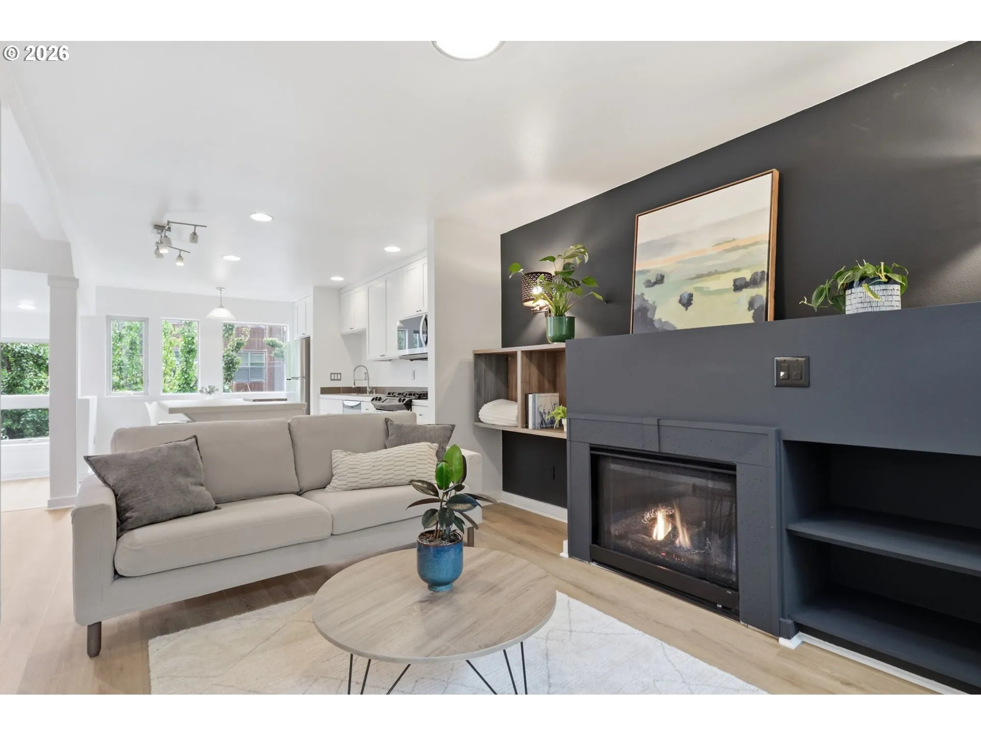 Fireplace Gas