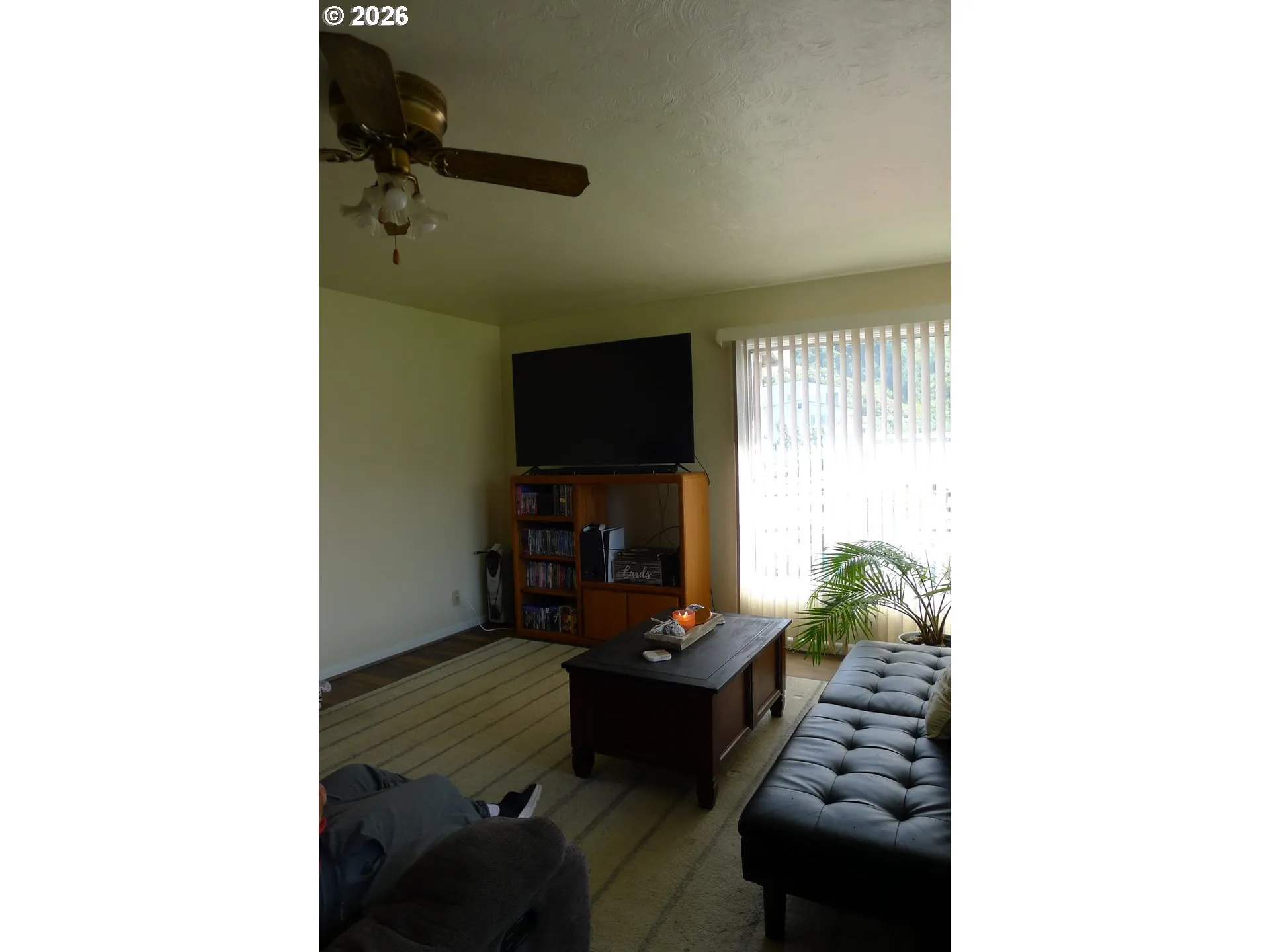 Living Room-Ceiling Fan