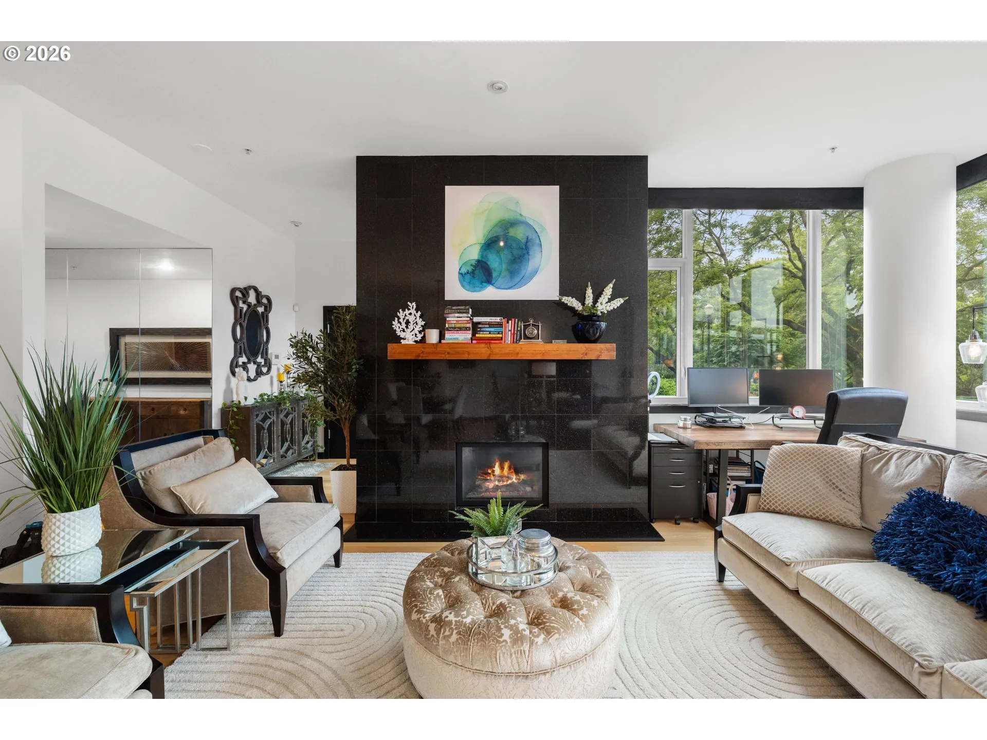 Fireplace Gas