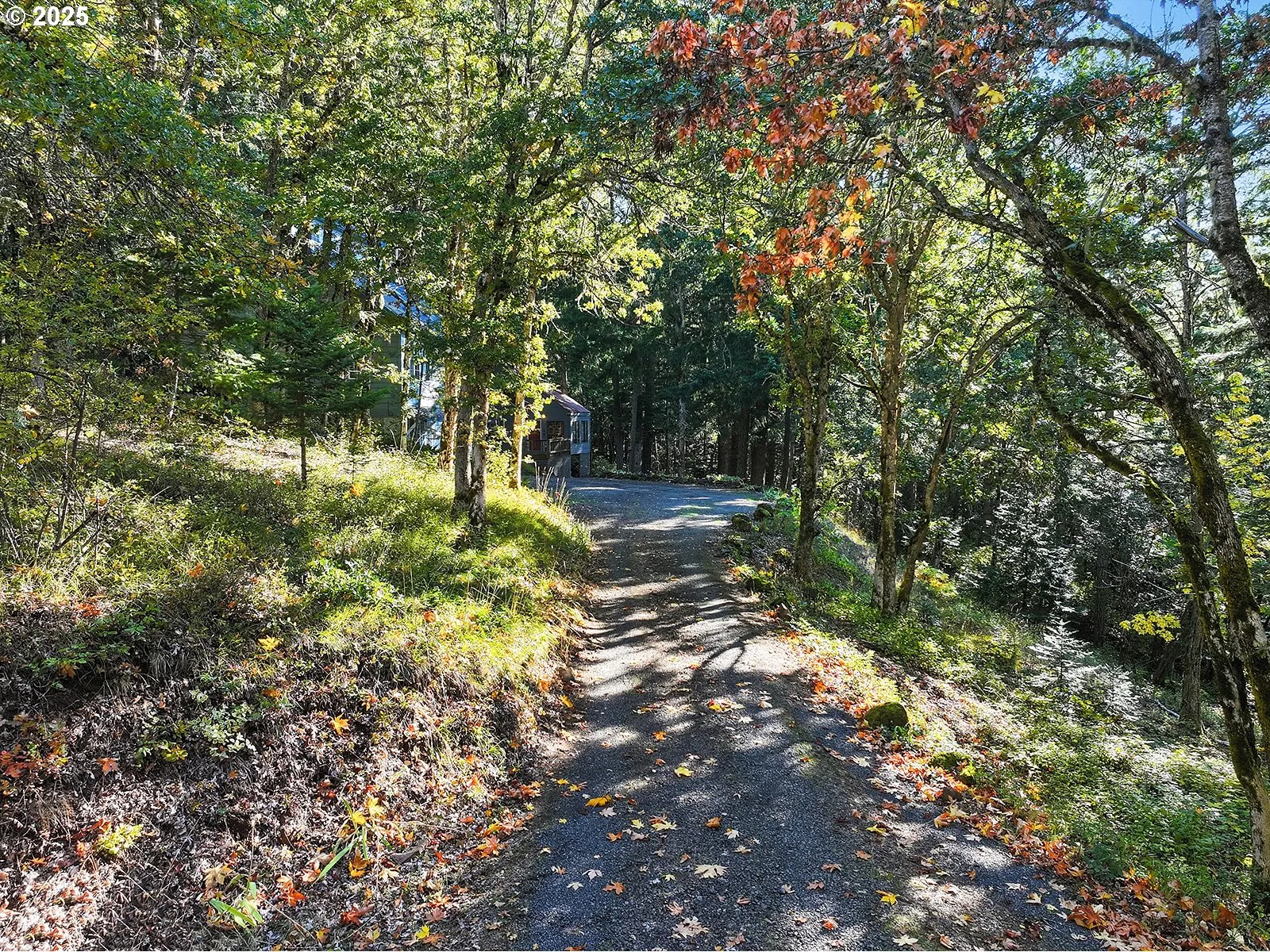 Driveway-Private