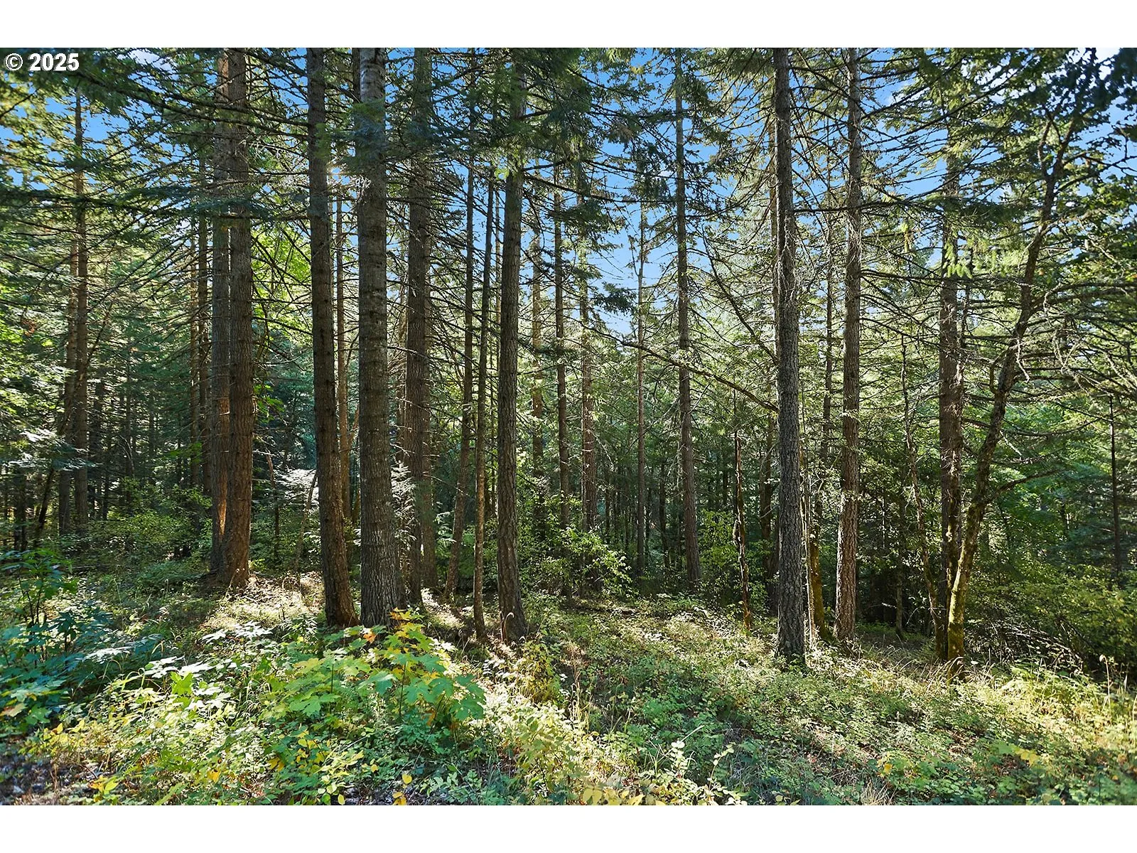 Acreage
