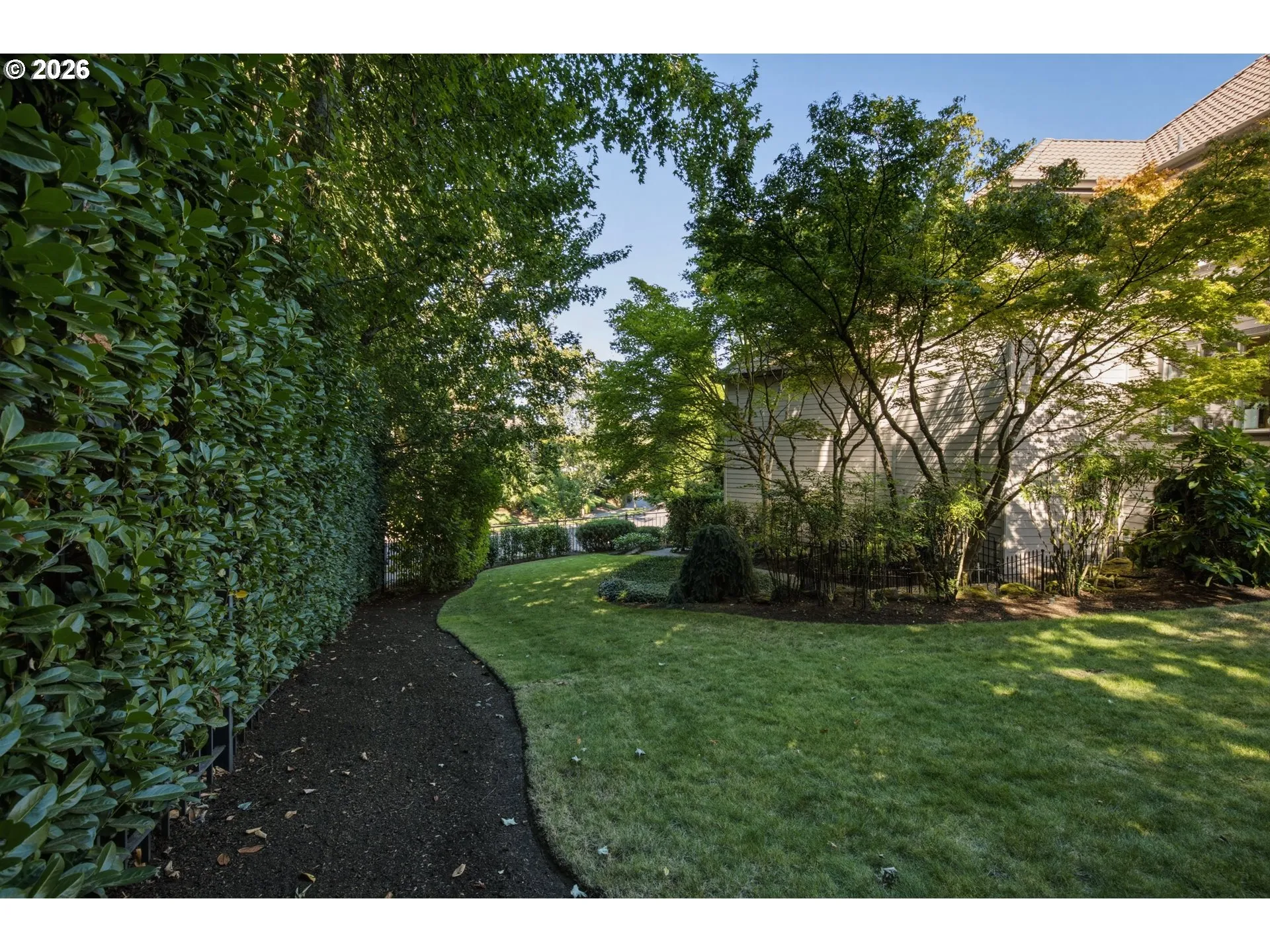 Backyard-Fenced