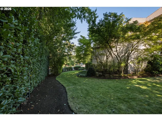 Backyard-Fenced