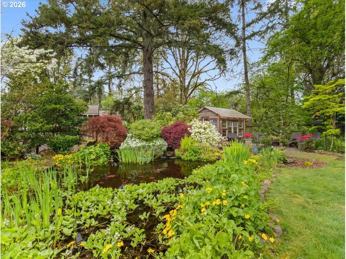 Pond