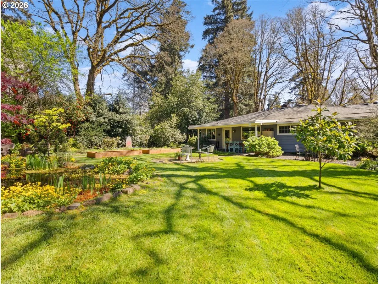 Backyard-Fenced