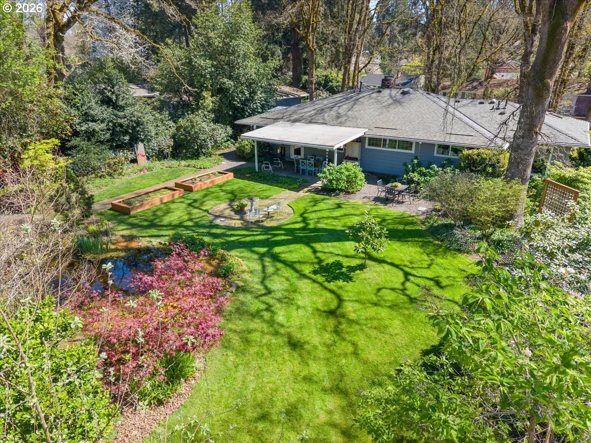 Backyard-View From