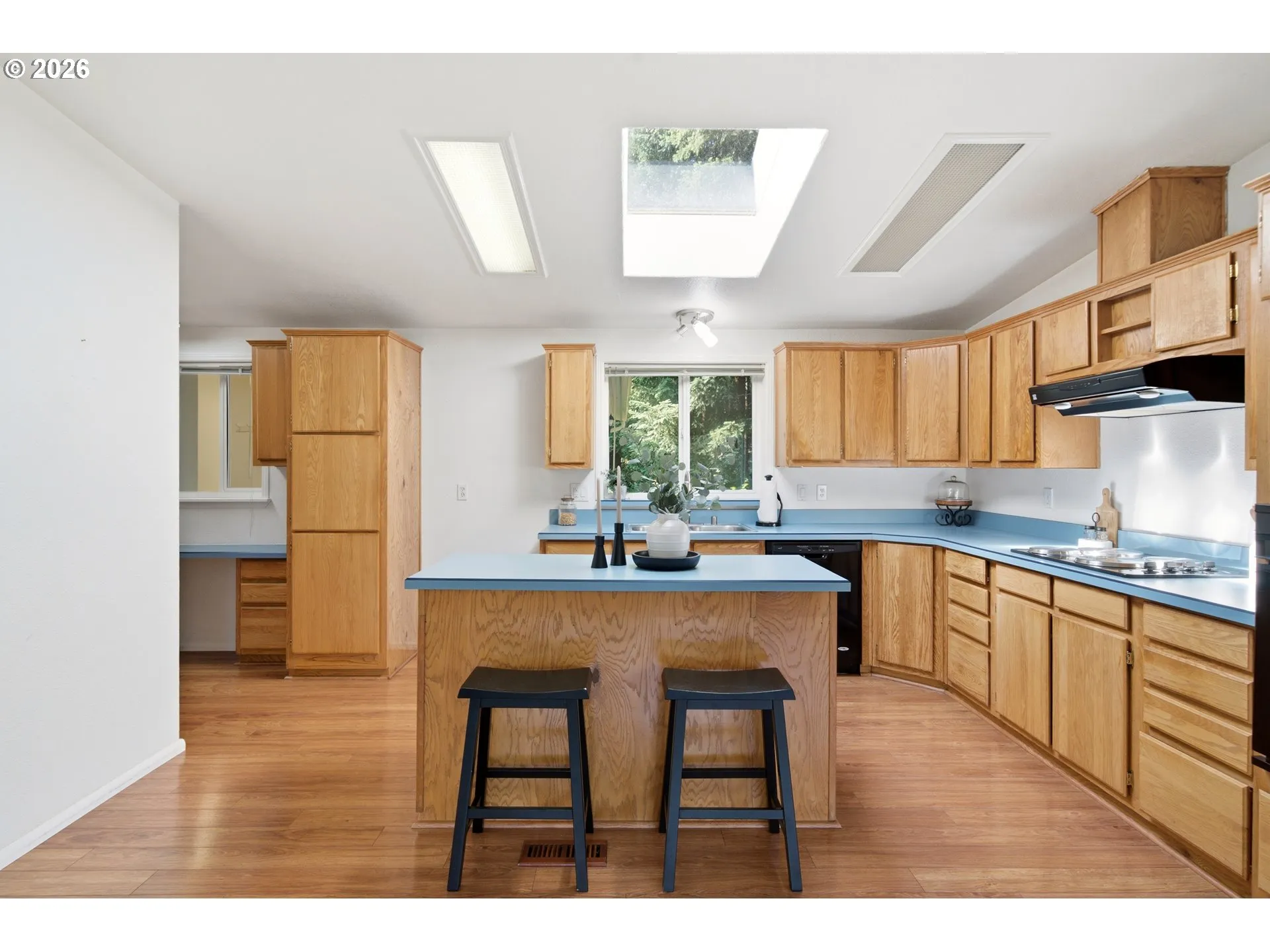 Kitchen-Skylight