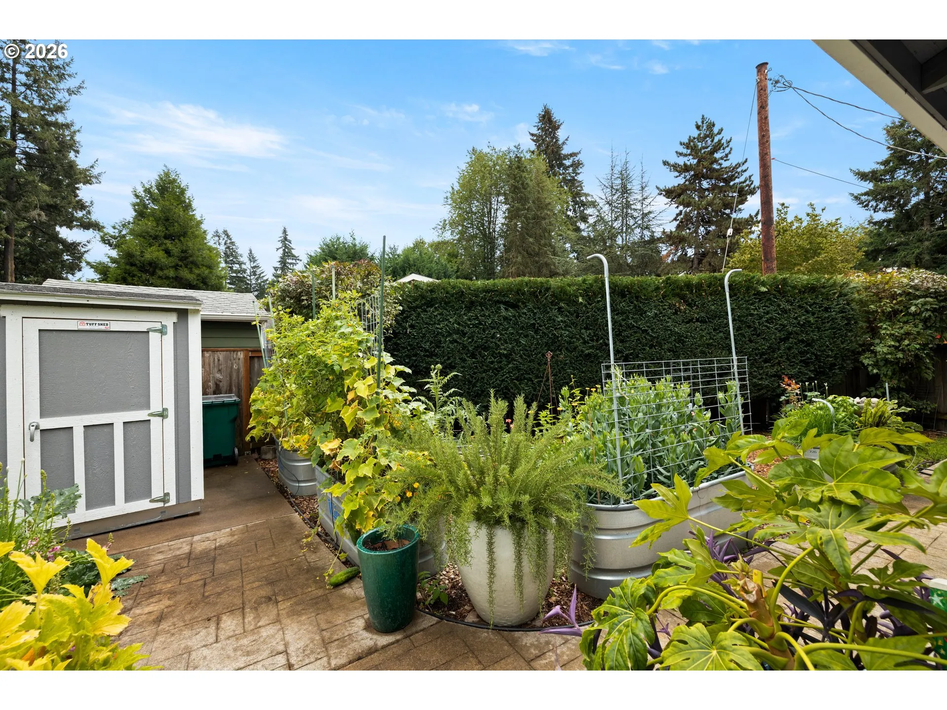 Shed
