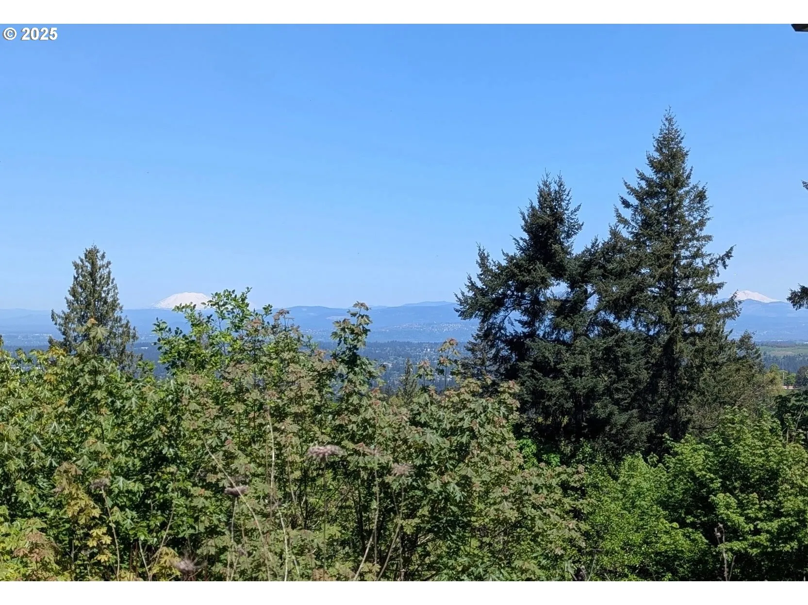 View-Mountain