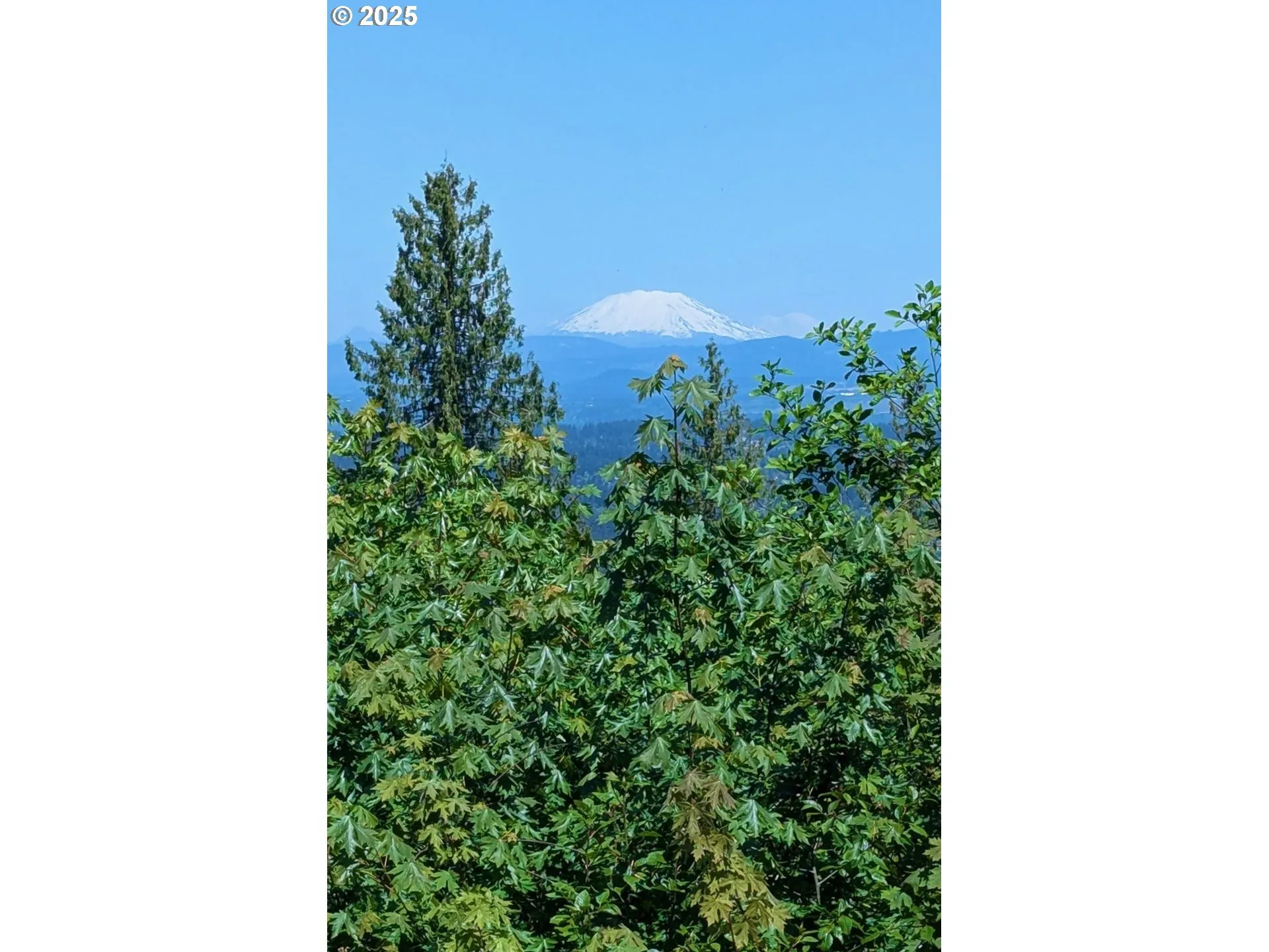 View-Mountain