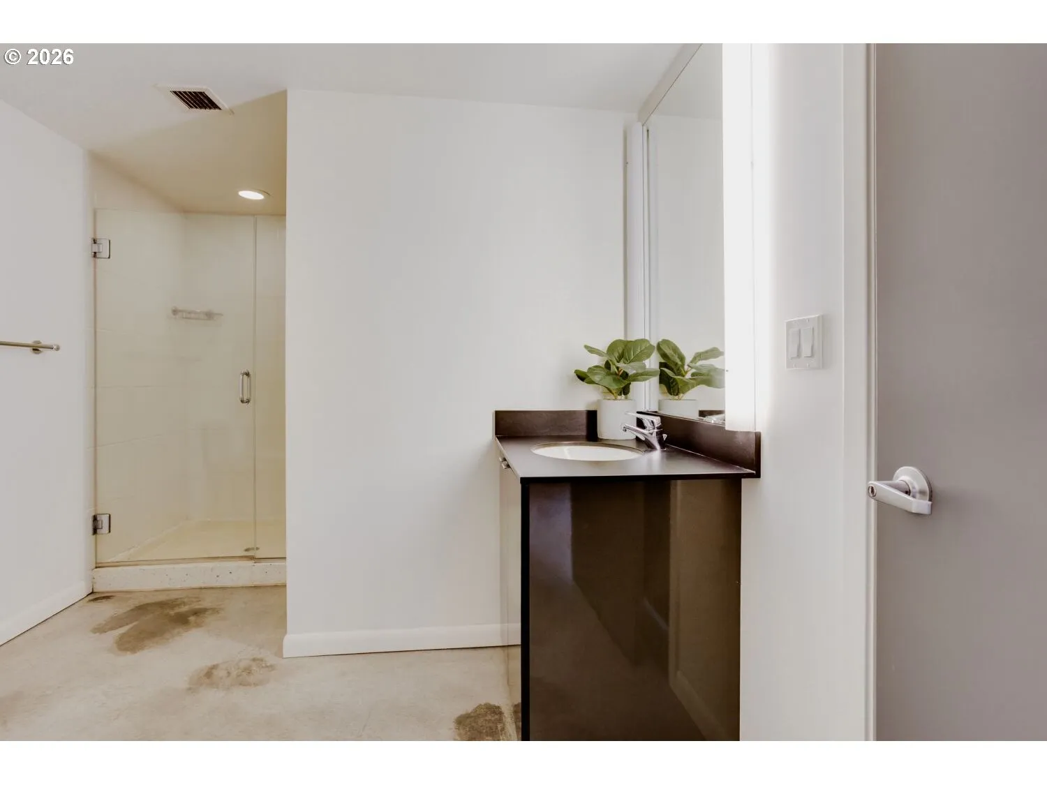 Bathroom-Lower
