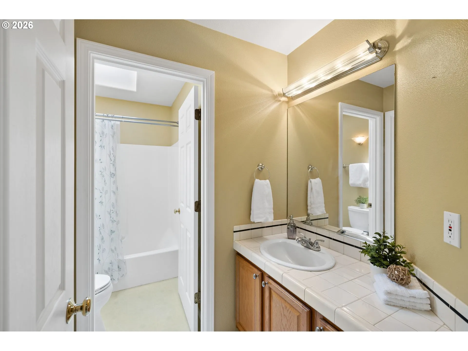 Bathroom-Skylight