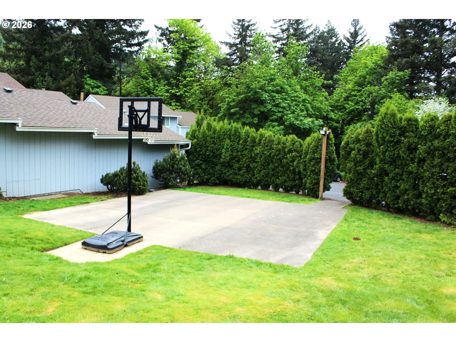 Community Basketball