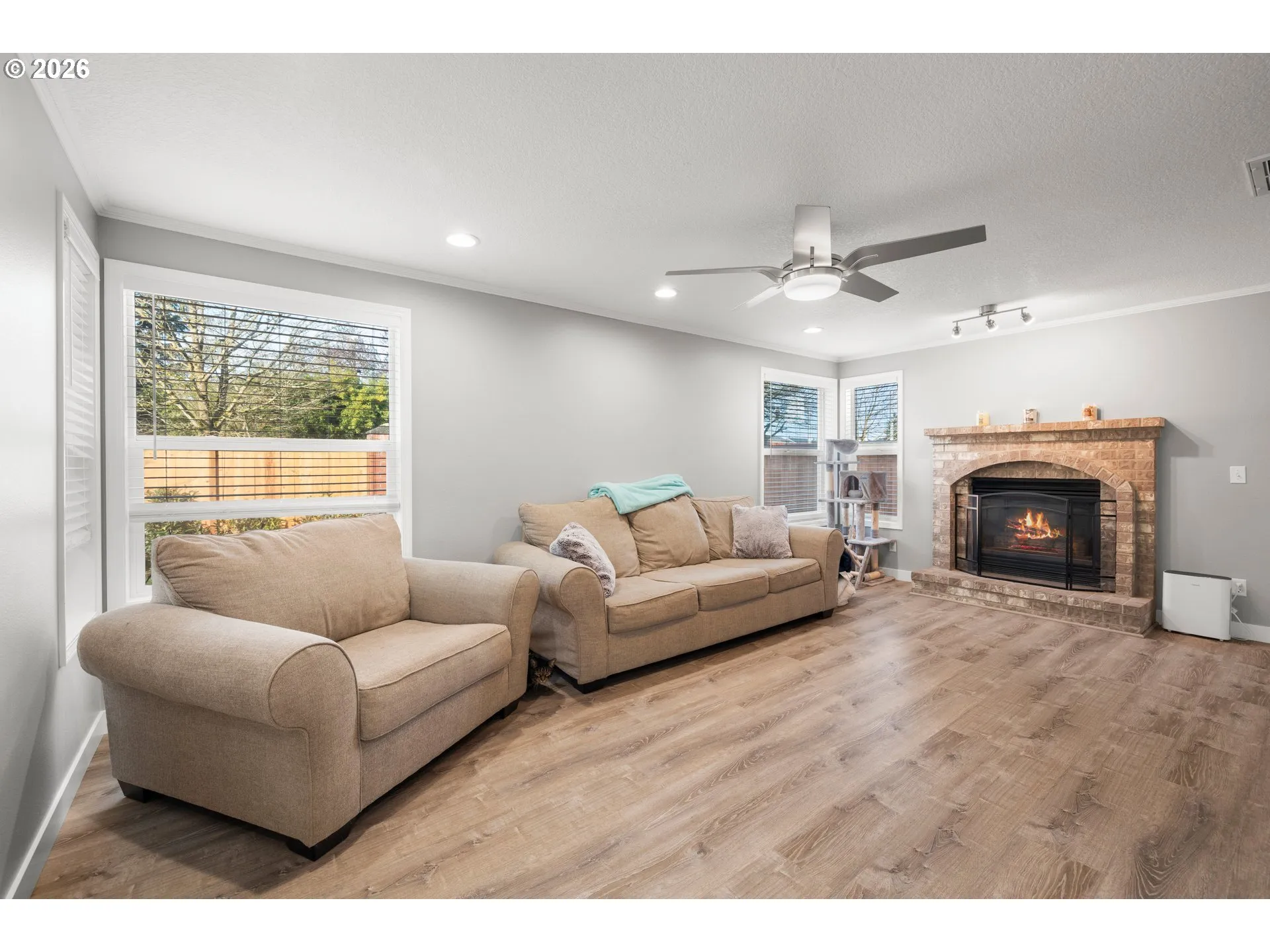 Living Room-Ceiling Fan