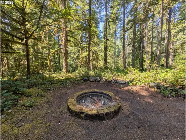 Fire Pit