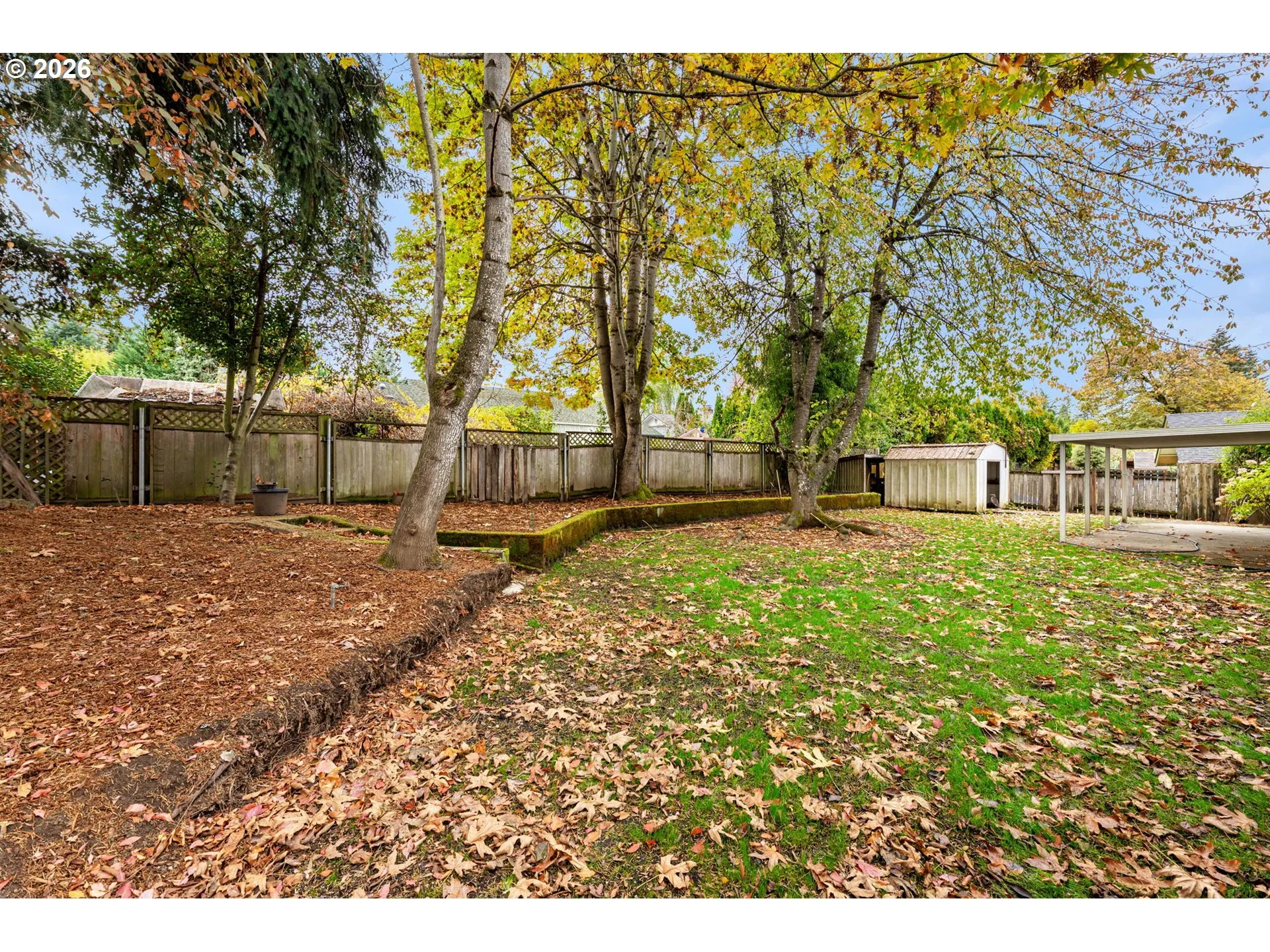 Backyard-Fenced