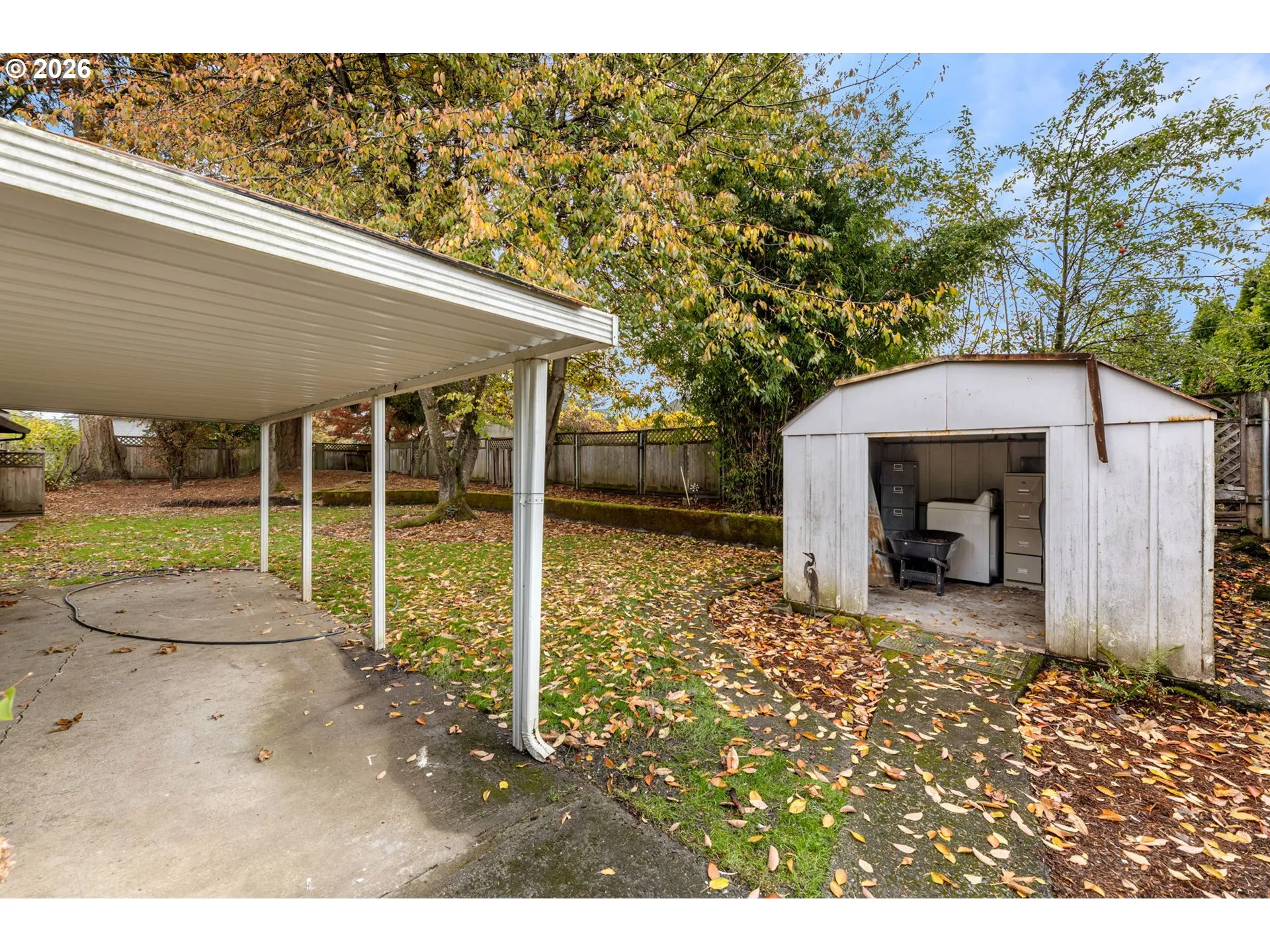 Shed