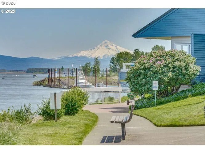 Backyard-View From