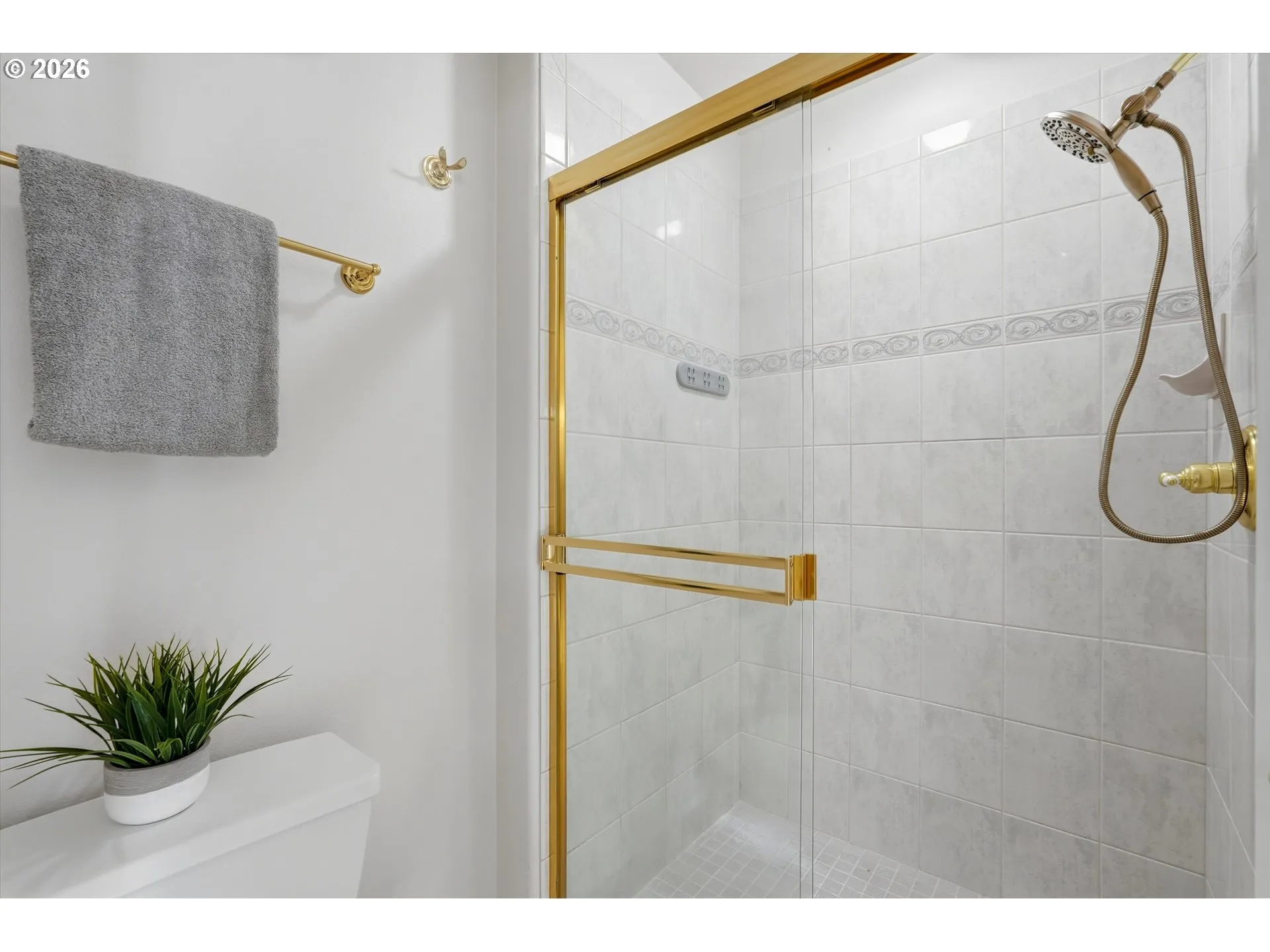 Owner's Suite Bathroom-Walk in Shower