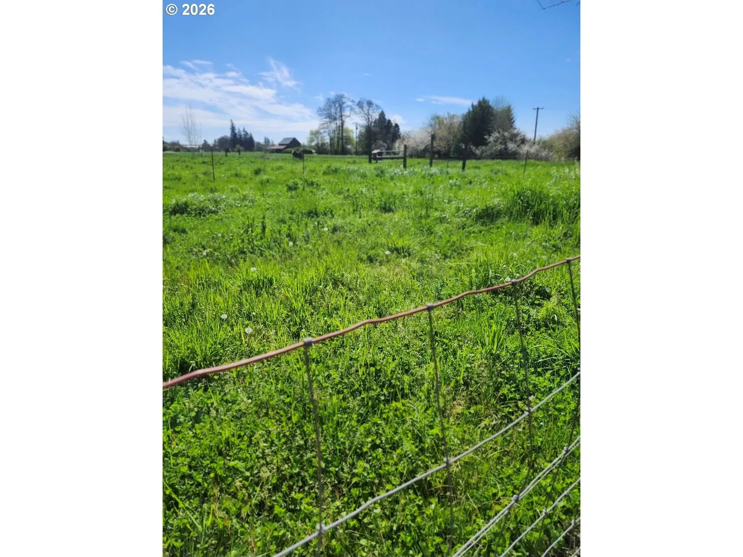 Pasture