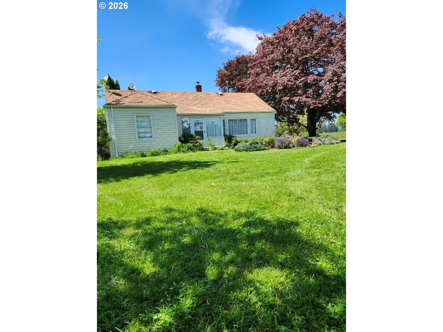 Front Yard