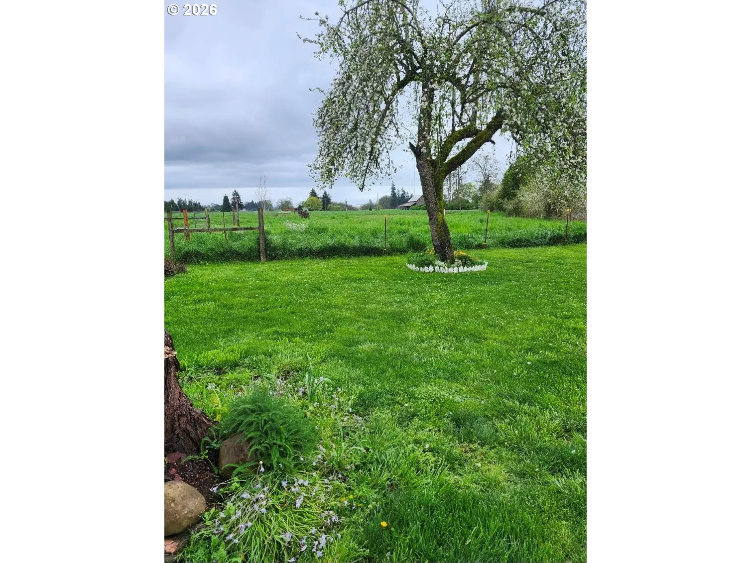 Yard