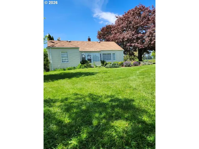 Front Yard