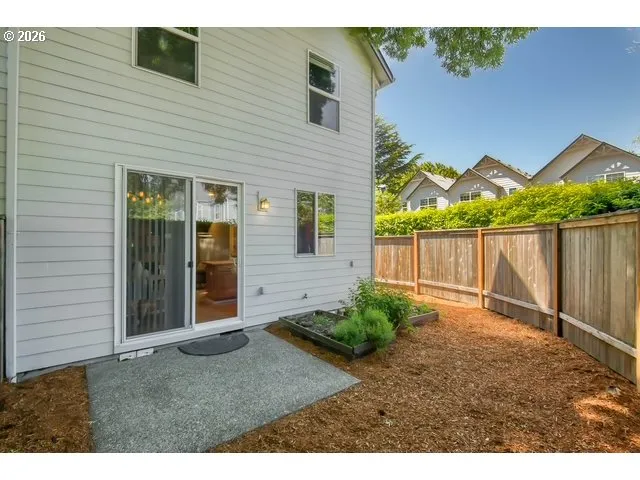 Backyard-# 2